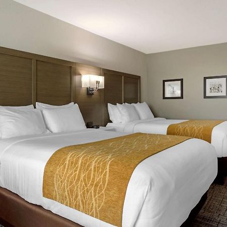 Comfort Inn 존스보로 외부 사진